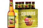 Ciderboys Pineapple Hula Apple Pineapple Hard Cider 0 (667)