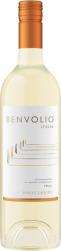 Benvolio - Pinot Grigio Fruili Grave 2022 (750ml) (750ml)